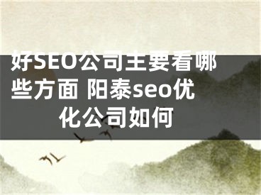 好SEO公司主要看哪些方面 阳泰seo优化公司如何 