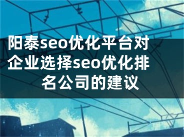 阳泰seo优化平台对企业选择seo优化排名公司的建议