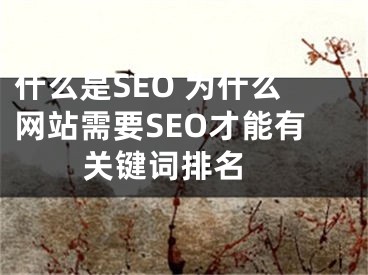 什么是SEO 为什么网站需要SEO才能有关键词排名  