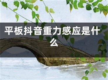 平板抖音重力感应是什么