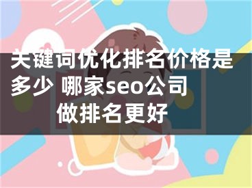 关键词优化排名价格是多少 哪家seo公司做排名更好 