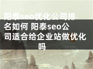 阳泰seo优化公司排名如何 阳泰seo公司适合给企业站做优化吗 