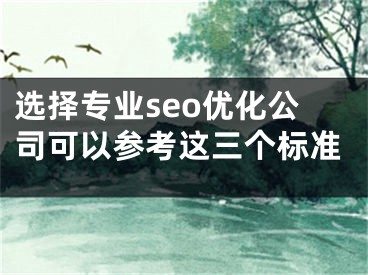 选择专业seo优化公司可以参考这三个标准