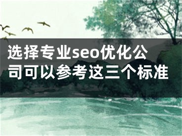 选择专业seo优化公司可以参考这三个标准