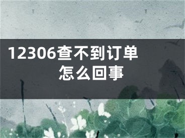 12306查不到订单怎么回事