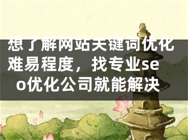 想了解网站关键词优化难易程度，找专业seo优化公司就能解决