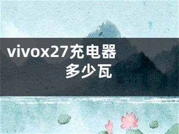 vivox27充电器多少瓦