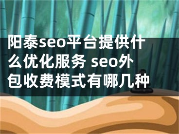 阳泰seo平台提供什么优化服务 seo外包收费模式有哪几种 