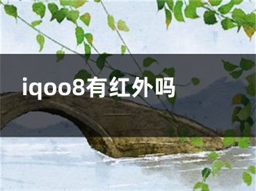 iqoo8有红外吗