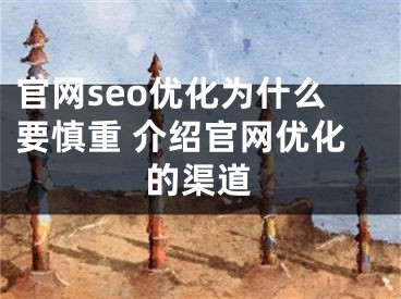 官网seo优化为什么要慎重 介绍官网优化的渠道