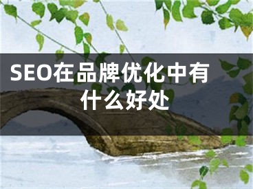 SEO在品牌优化中有什么好处