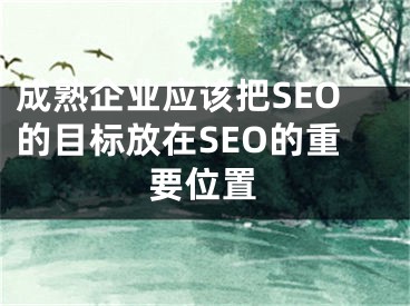 成熟企业应该把SEO的目标放在SEO的重要位置