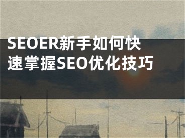 SEOER新手如何快速掌握SEO优化技巧 