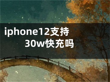 iphone12支持30w快充吗