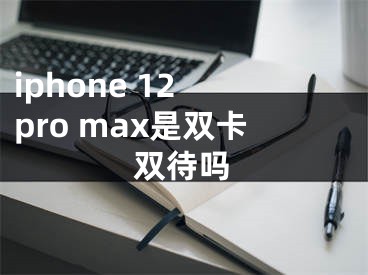 iphone 12 pro max是双卡双待吗