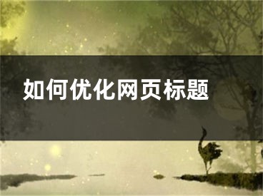 如何优化网页标题 