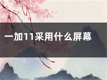 一加11采用什么屏幕 