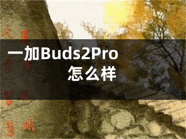 一加Buds2Pro怎么样