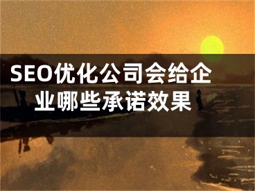 SEO优化公司会给企业哪些承诺效果 