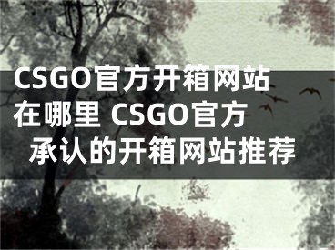 CSGO官方开箱网站在哪里 CSGO官方承认的开箱网站推荐