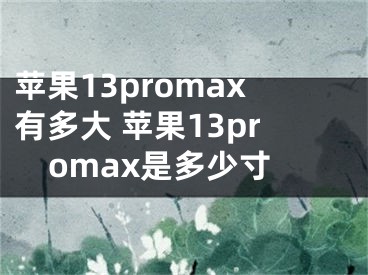 苹果13promax有多大 苹果13promax是多少寸