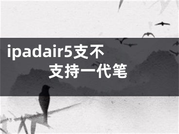 ipadair5支不支持一代笔