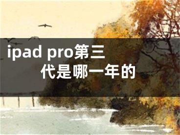 ipad pro第三代是哪一年的