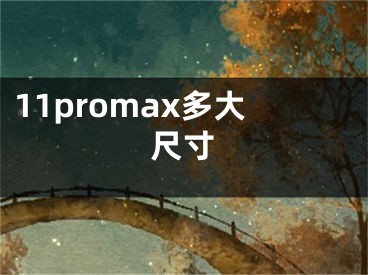 11promax多大尺寸