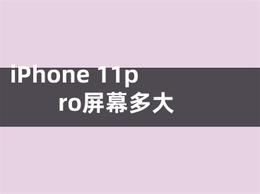 iPhone 11pro屏幕多大