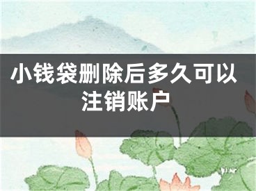 小钱袋删除后多久可以注销账户