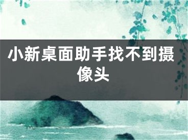 小新桌面助手找不到摄像头