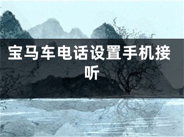 宝马车电话设置手机接听