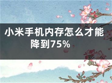 小米手机内存怎么才能降到75%