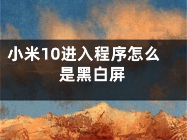 小米10进入程序怎么是黑白屏