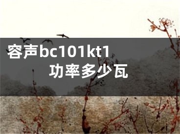 容声bc101kt1功率多少瓦