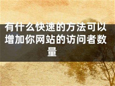 有什么快速的方法可以增加你网站的访问者数量  