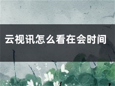 云视讯怎么看在会时间