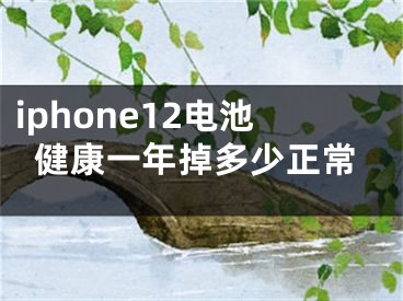 iphone12电池健康一年掉多少正常
