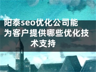 阳泰seo优化公司能为客户提供哪些优化技术支持  