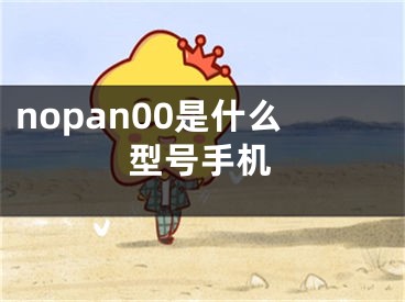 nopan00是什么型号手机