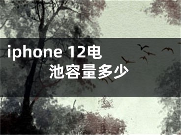 iphone 12电池容量多少