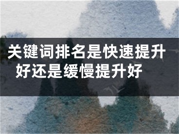 关键词排名是快速提升好还是缓慢提升好 