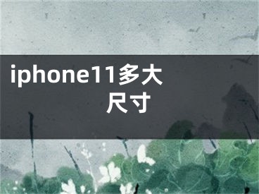 iphone11多大尺寸