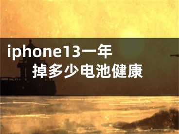 iphone13一年掉多少电池健康