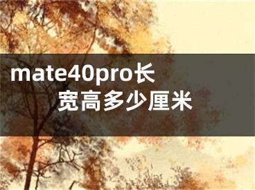 mate40pro长宽高多少厘米