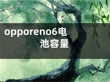 opporeno6电池容量