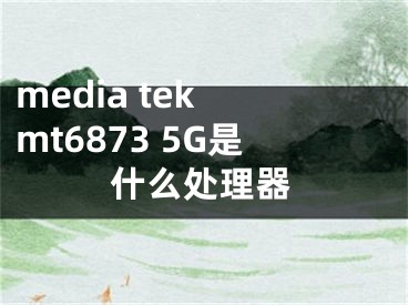 media tek mt6873 5G是什么处理器