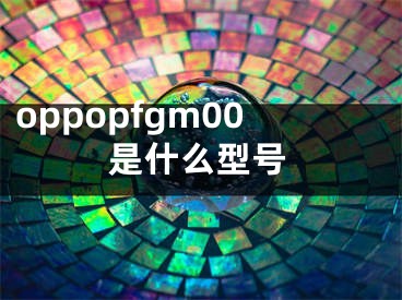 oppopfgm00是什么型号