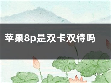 苹果8p是双卡双待吗