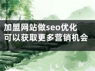 加盟网站做seo优化可以获取更多营销机会